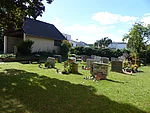 Friedhof Steinfeld